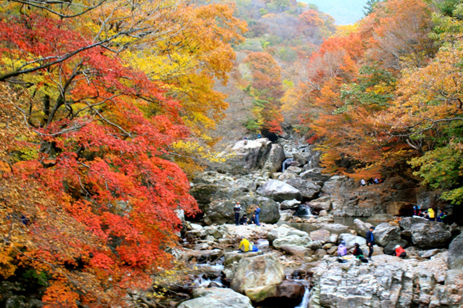Tour Hàn Quốc - Nami - Everland - City Tour