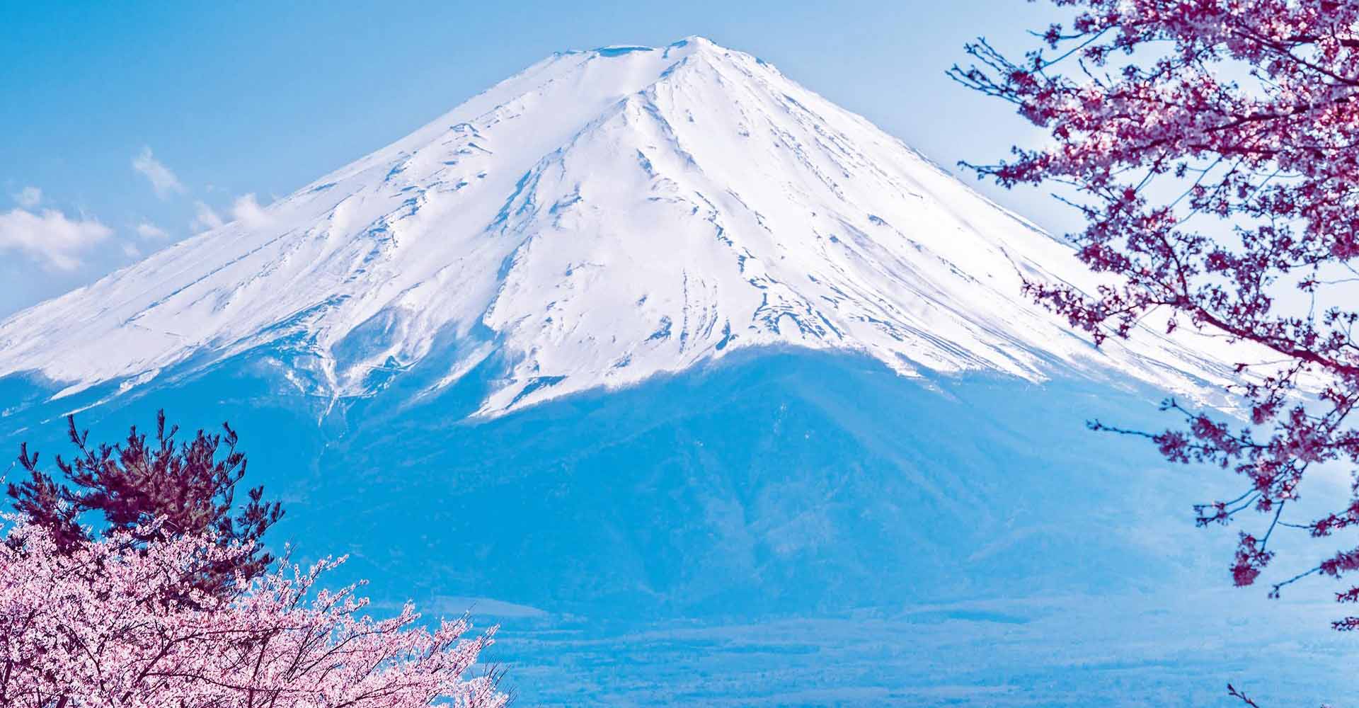 TOUR NHẬT BẢN MÙA HOA ANH ĐÀO NARITA-FUJI-TOKYO-UENO-HÁI DÂU