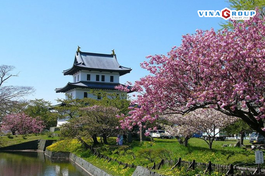 Tour Nhật Bản Mùa Hoa Anh Đào Narita – Fuji – Tokyo – Ueno - Hái dâu