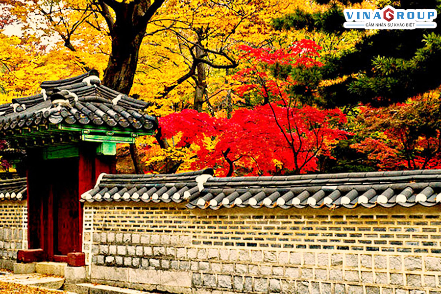 TOUR HÀN QUỐC - NAMI - EVERLAND - CITY TOUR