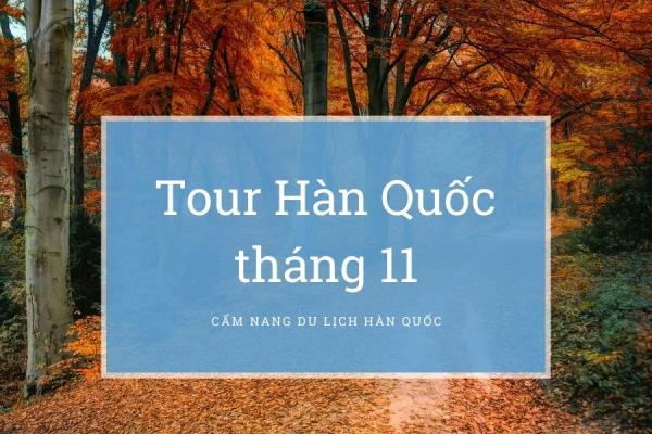 Tour Hàn Quốc tháng 11 - Kinh nghiệm đi tour mùa lá đỏ
