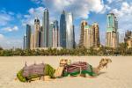 Tour Dubai - Abudhabi