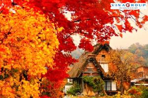 Tour Nhật Bản - Rực Rỡ Sắc Màu Mùa Thu