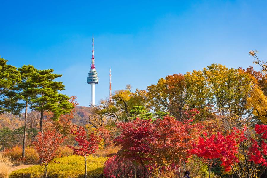 Tour Hàn Quốc - Seoul - Nami - Everland - Mùa Lá Đỏ