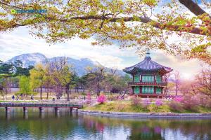 Tour Hàn Quốc - Seoul - Nami - Everland