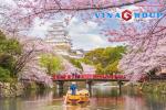 [HOA ANH ĐÀO] - NHẬT BẢN: NARITA – TOKYO – YAMANASHI – NAGOYA – KYOTO – OSAKA – KANSAI
