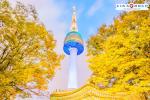 TOUR HÀN QUỐC - NAMI - EVERLAND - CITY TOUR