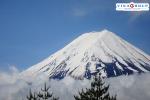 Tour Nhật Bản - Narita -  Mt. Fuji - Tokyo