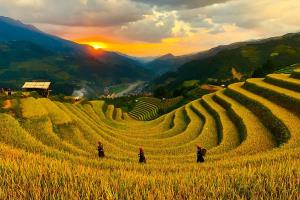 Tây Bắc – Nắng Vàng Trên Vùng Cao