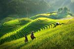 Tây Bắc – Nắng Vàng Trên Vùng Cao