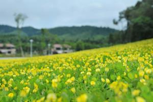 Quy Nhơn - Phú Yên - Ghềnh Đá Dĩa (Ở FLC)