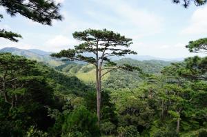 Chinh Phục Tà Năng - Phan Dũng - Trekking