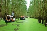 Đồng Tháp - Châu Đốc - Rừng Tràm Trà Sư
