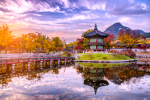Tour Hàn Quốc -Seoul - Đảo Nami- Everland