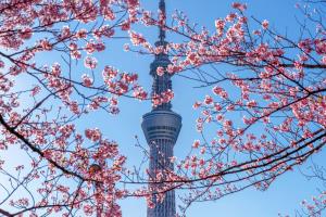 Tour Nhật Bản - Núi Fuji - Hồ Ashi - Tokyo - Vịnh Odaiba