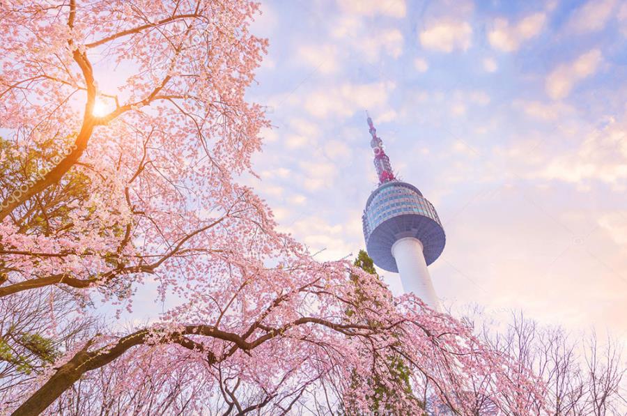 Tour Hàn Quốc - Seoul - Lotte World - Hái Dâu - Công Viên Hoa Anh Đào