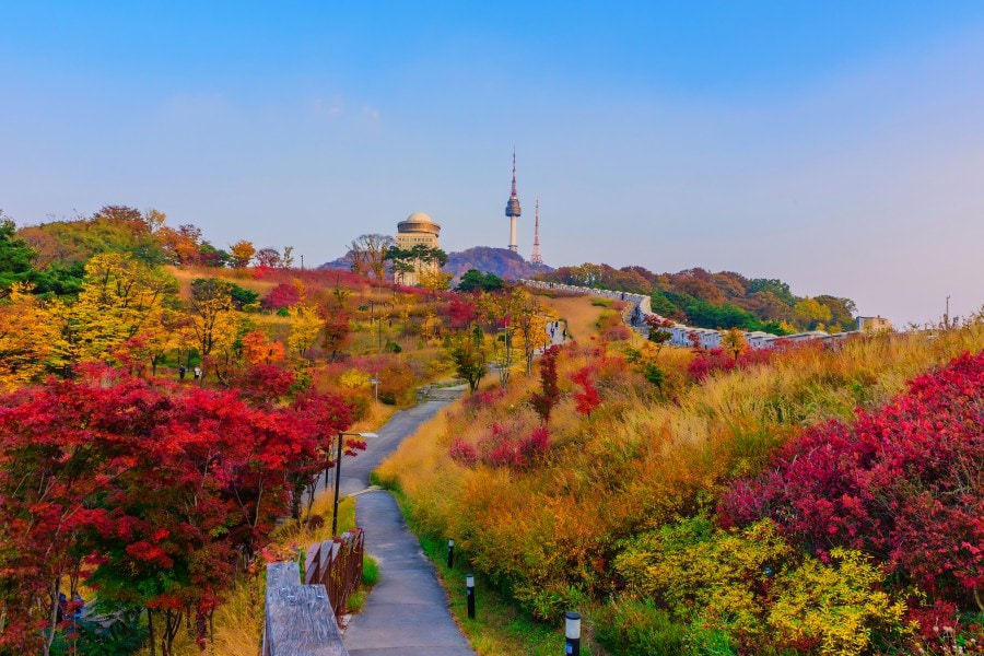 Công viên Namsan với những con đường đi bộ, khu vườn và các điểm nghỉ ngơi
