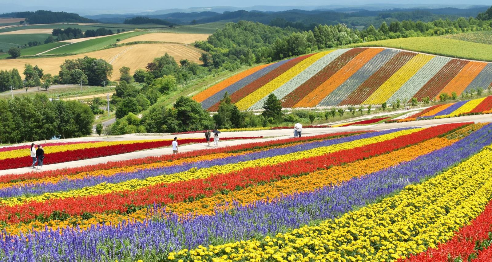 hokkaido-3