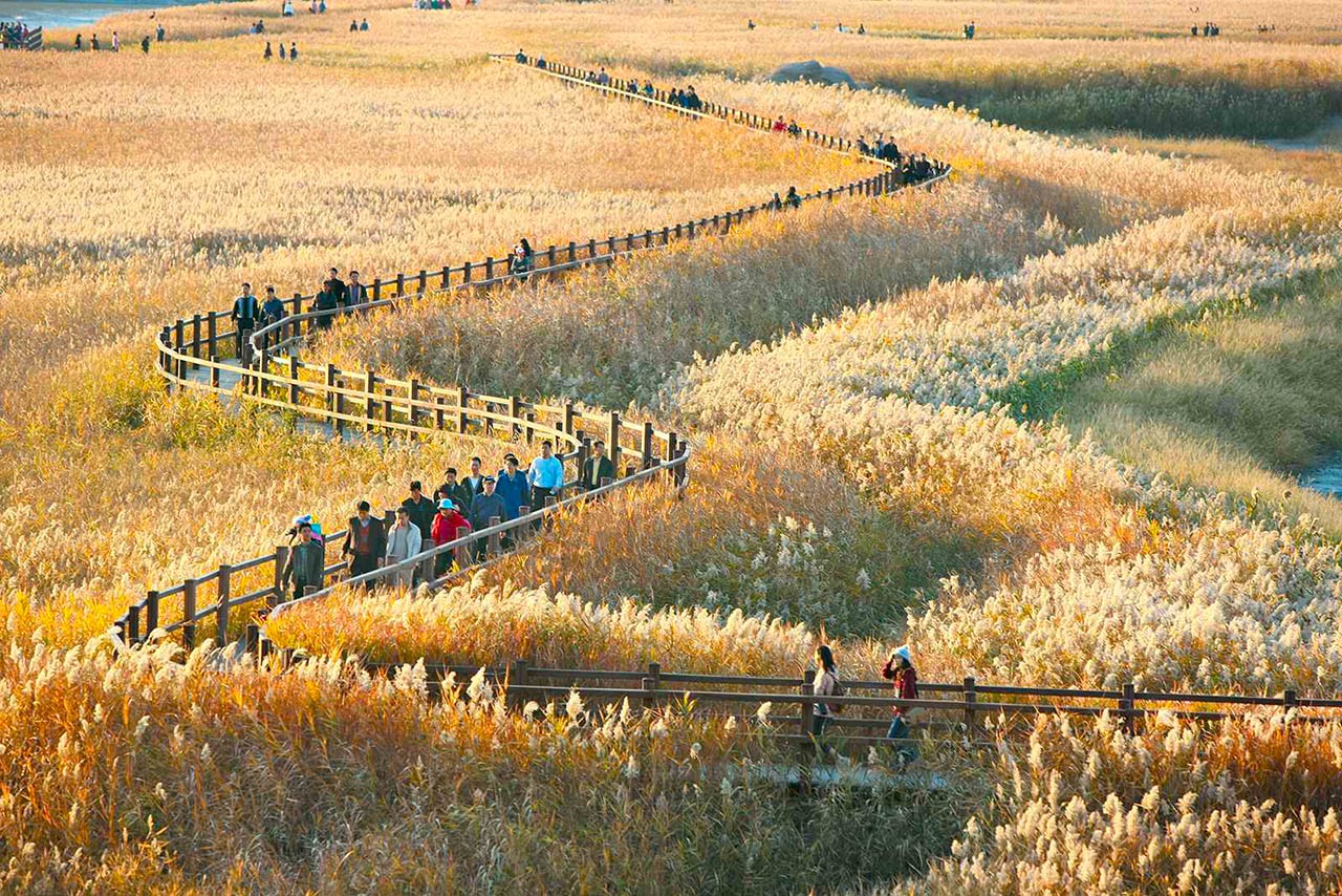 tour-du-lich-mua-thu-han-quoc-17