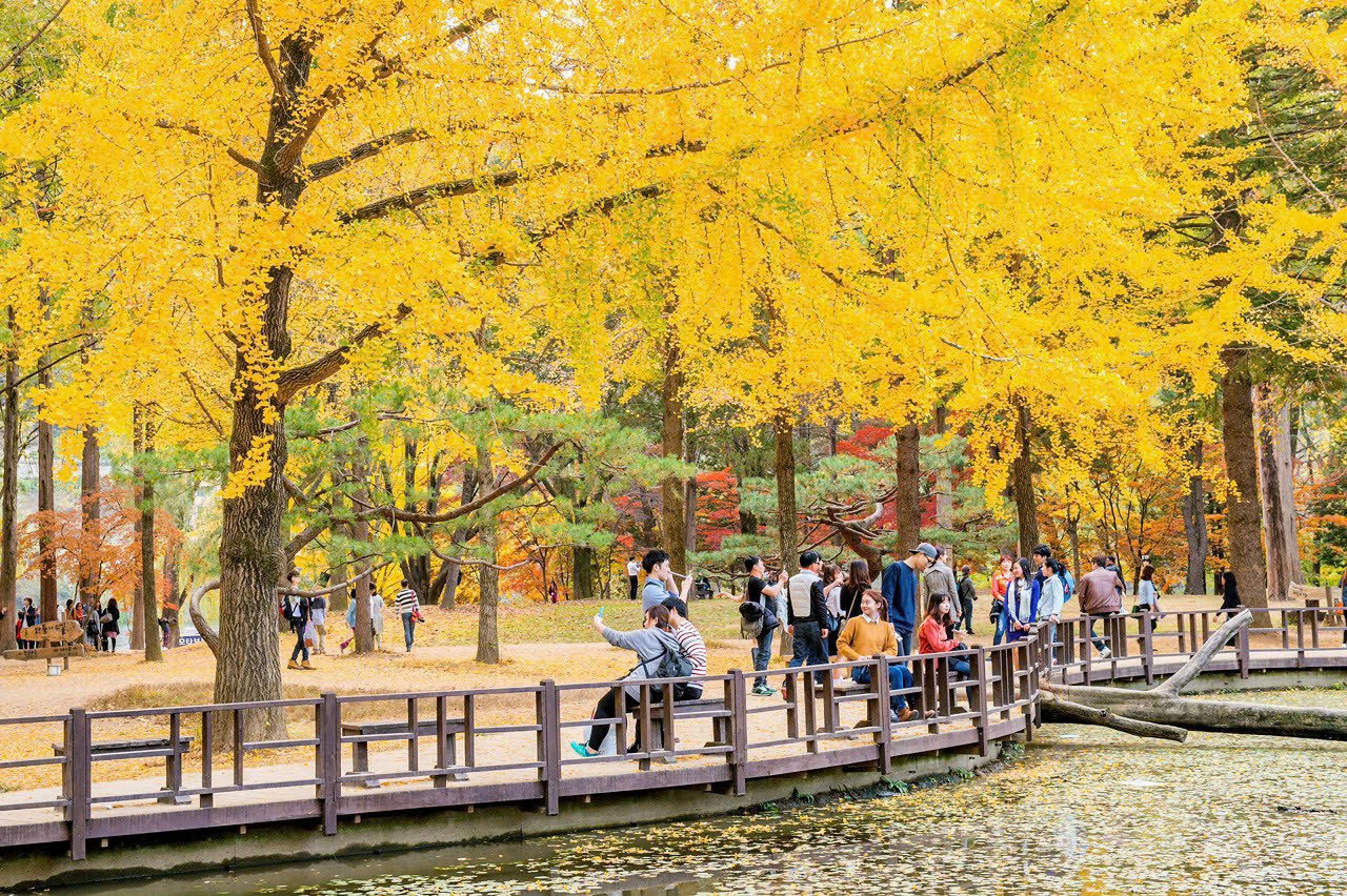 tour-du-lich-mua-thu-han-quoc-9