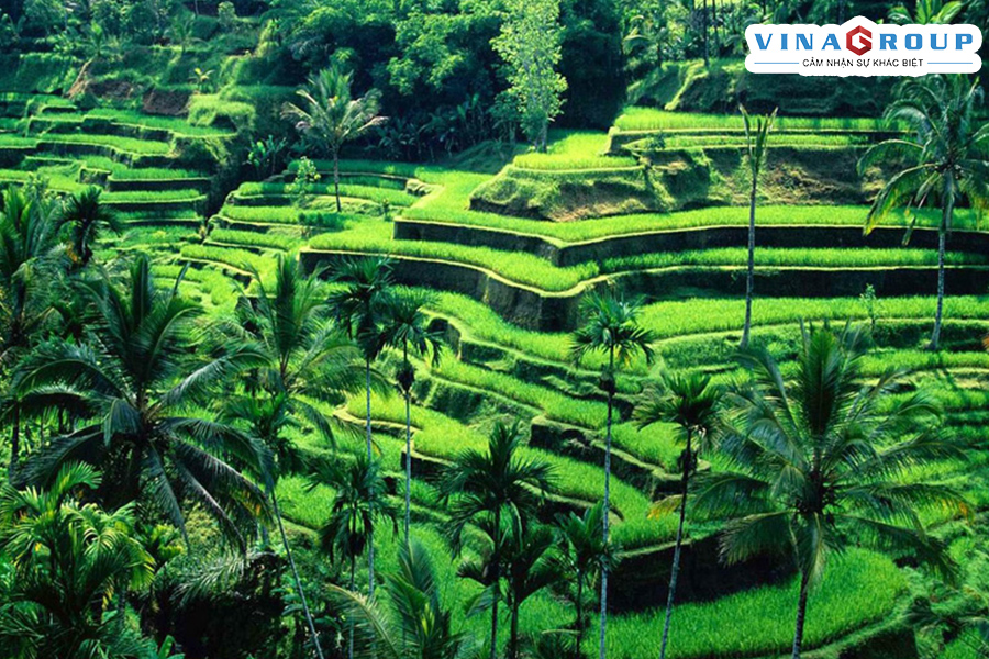 Khám phá Bali - Thiên Đường Biển Đảo