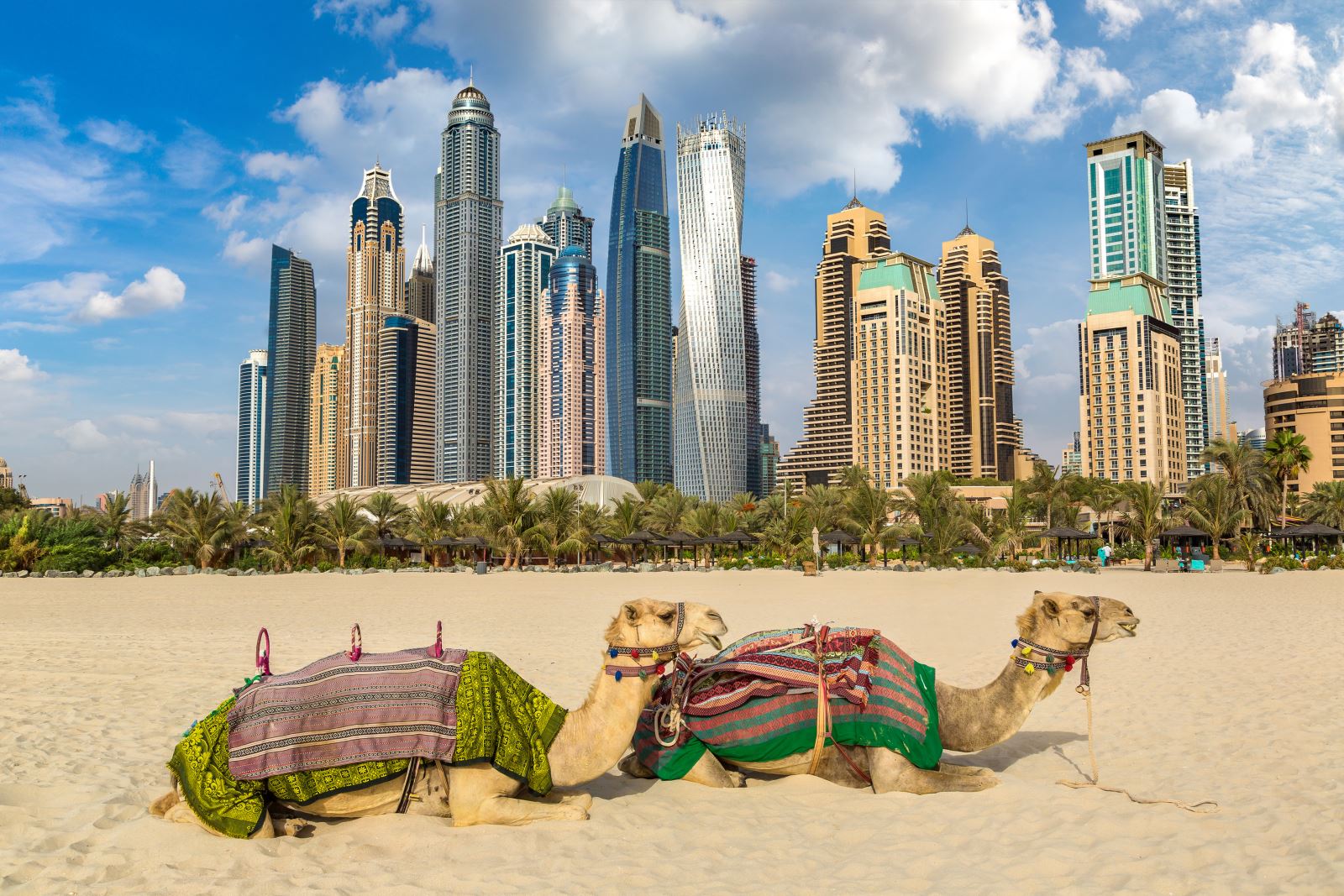 Tour Dubai - Abudhabi
