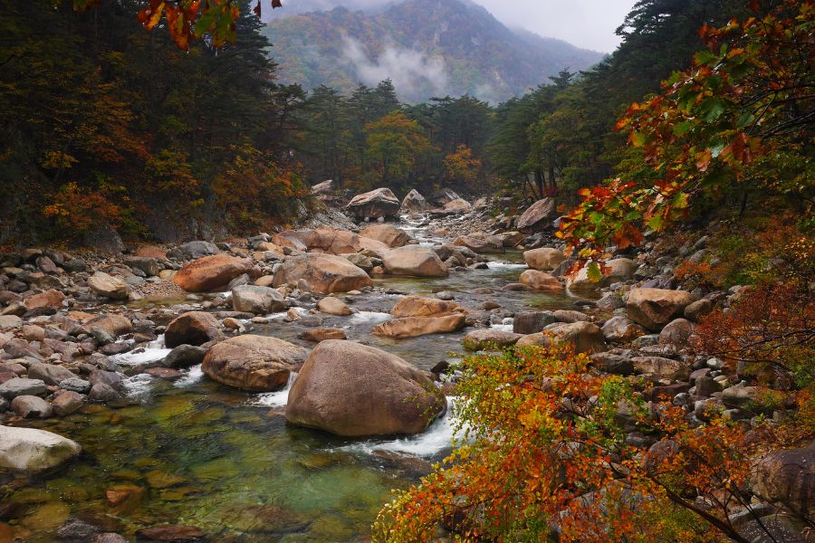 Lưu ý khi chọn trang phục đi Hàn Quốc vào mùa xuân