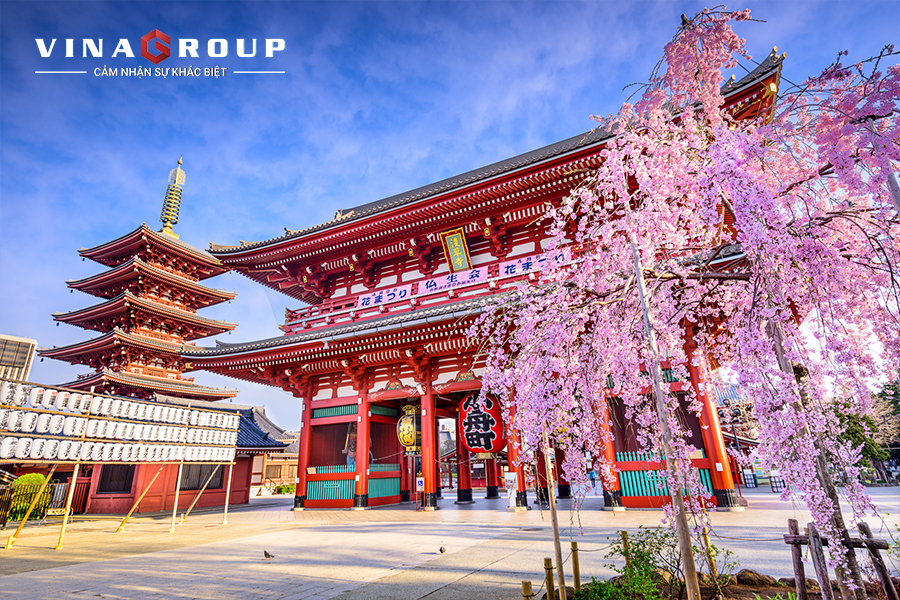 Tour Nhật Bản mùa hoa anh đào Narita - Fuji - Tokyo - Ueno - hái dâu
