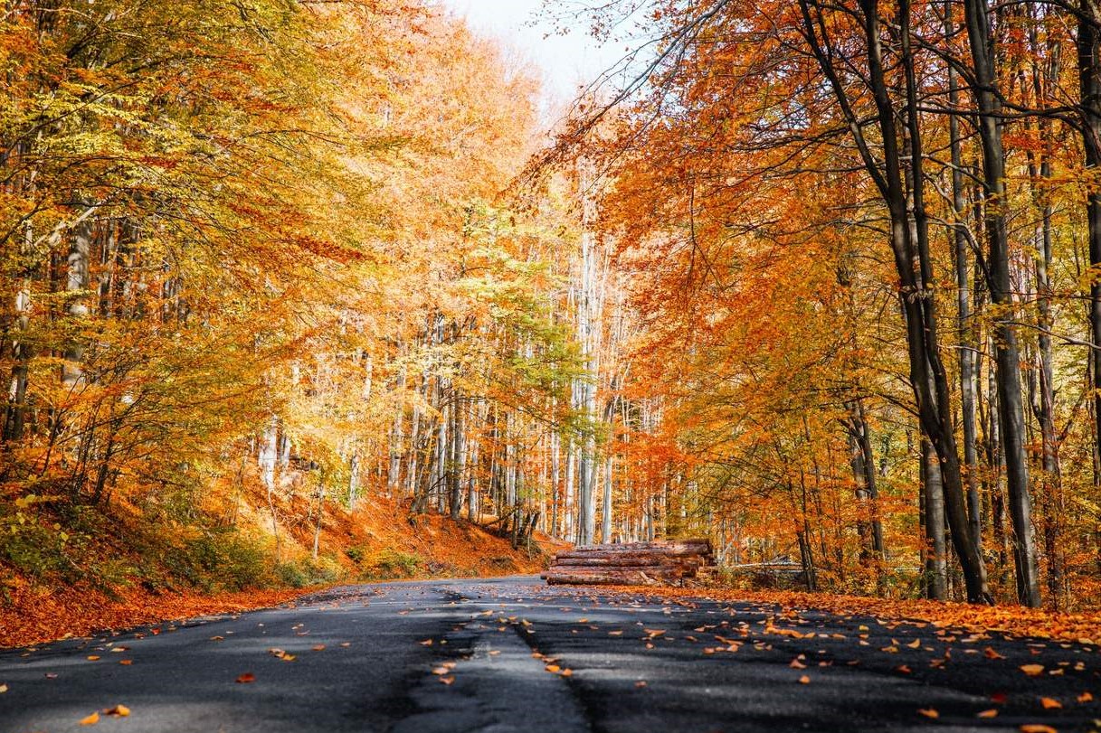 tour-du-lich-mua-thu-han-quoc-12