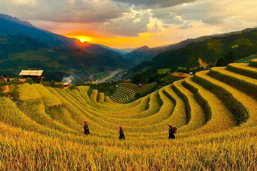 Tây Bắc – Nắng Vàng Trên Vùng Cao