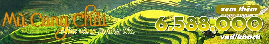 Mu cang chai