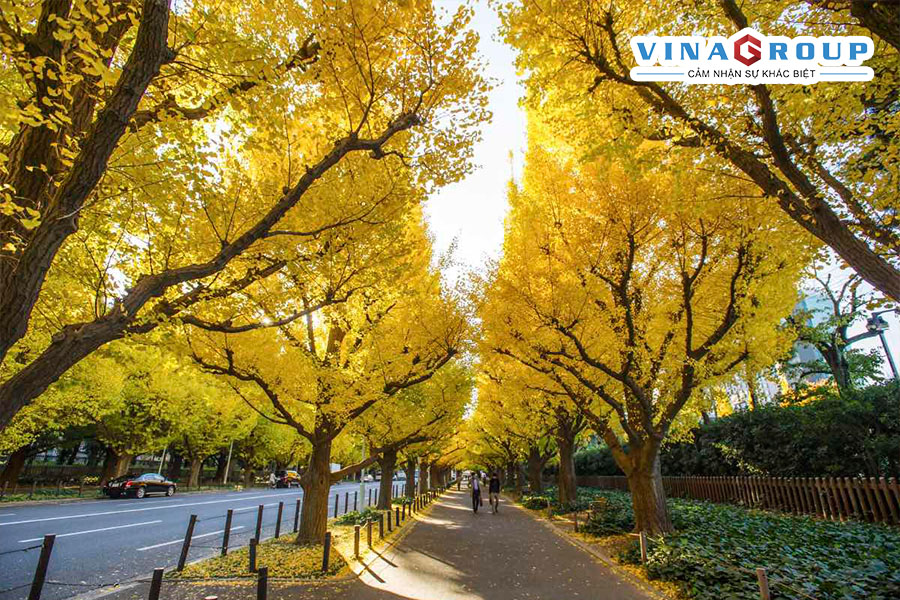 Tour Nhật Bản - Mt. Fuji -Tắm Onsen - Showa Kimen Park - Hái Trái Cây Theo Mùa