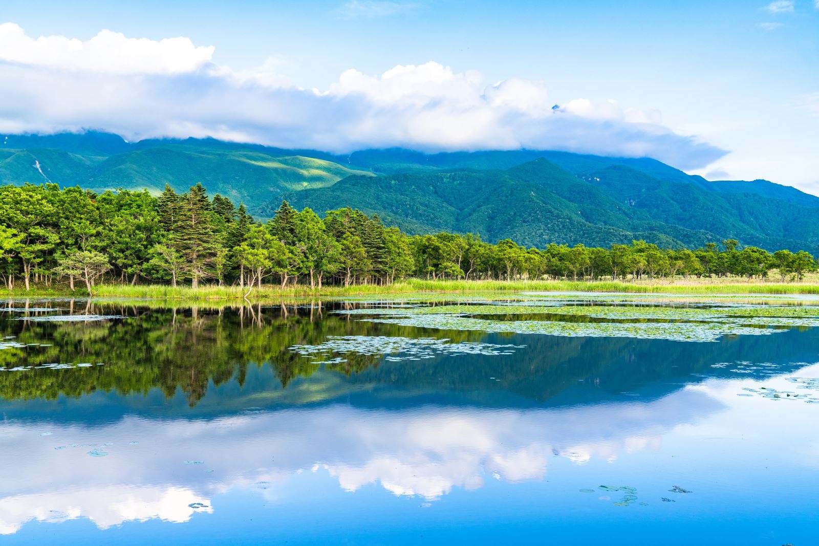 hokkaido-11