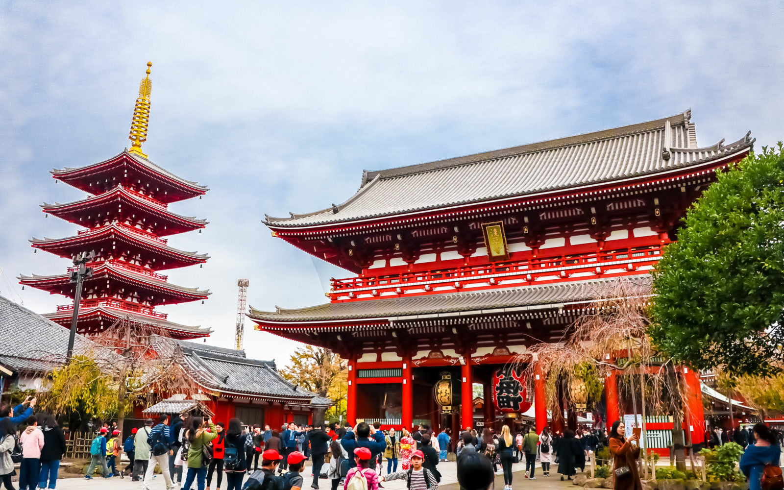 Khám phá Nhật Bản mùa hè rực rỡ: Tokyo – Núi Fuji – Công Viên Showakinen